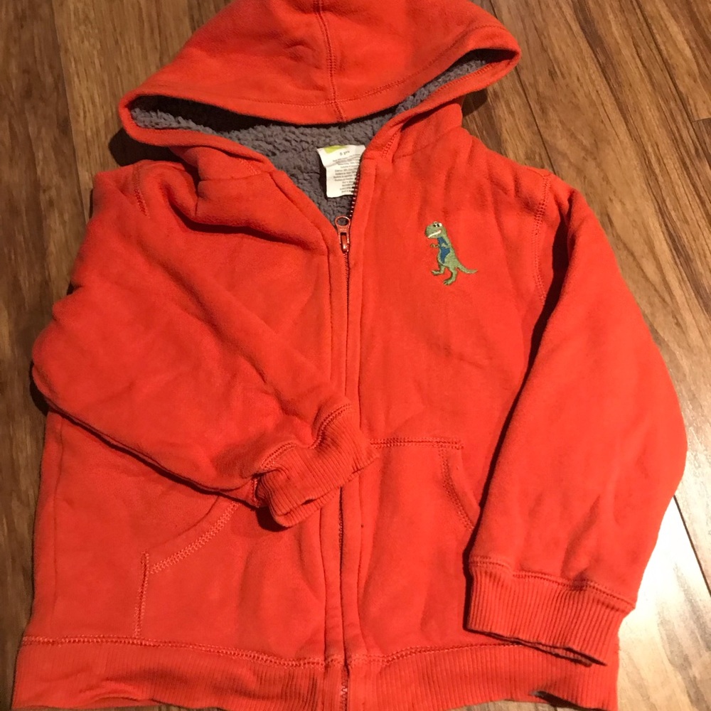 Cute boys Gymboree Dino jacket